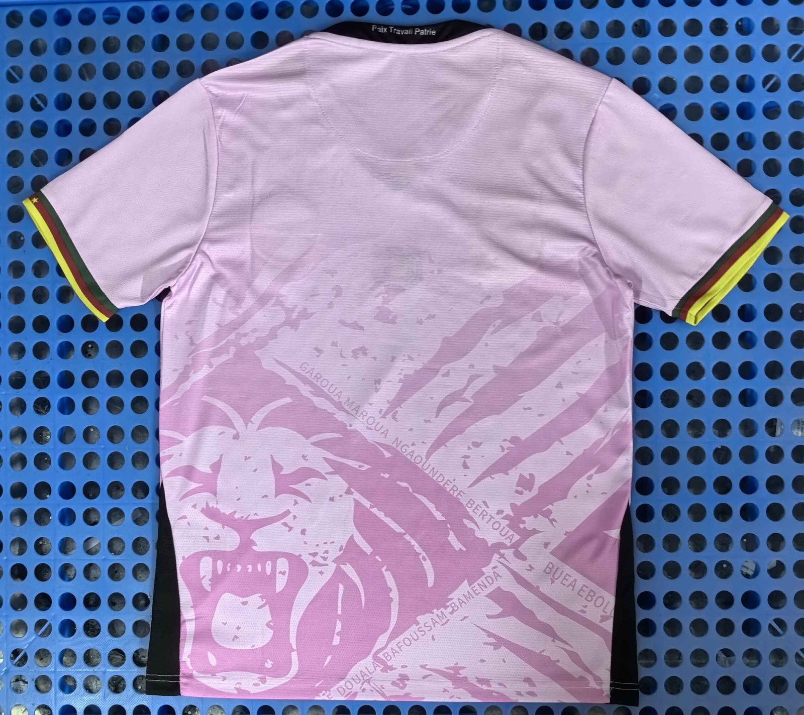 Cameroon pink jersey - Image 2