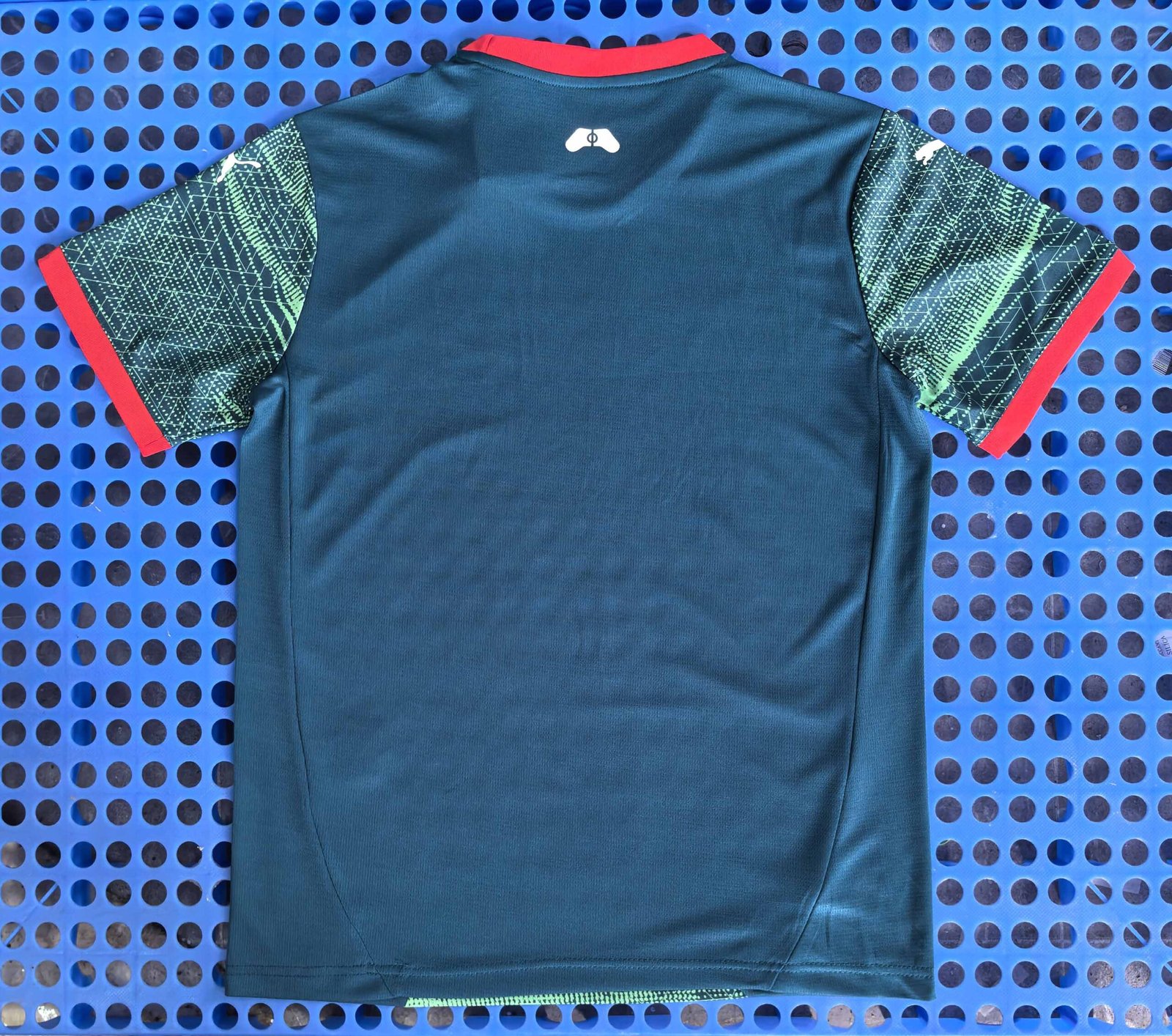 The Portuguese pre-match training jersey