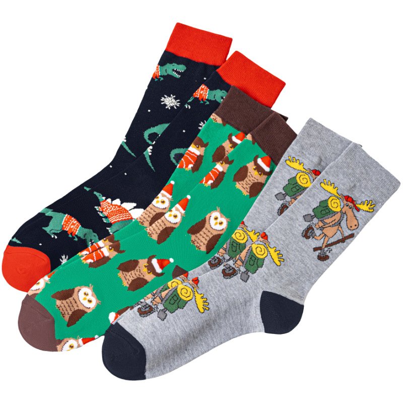 Dinosaur Owl Cartoon Cotton Socks - Image 8