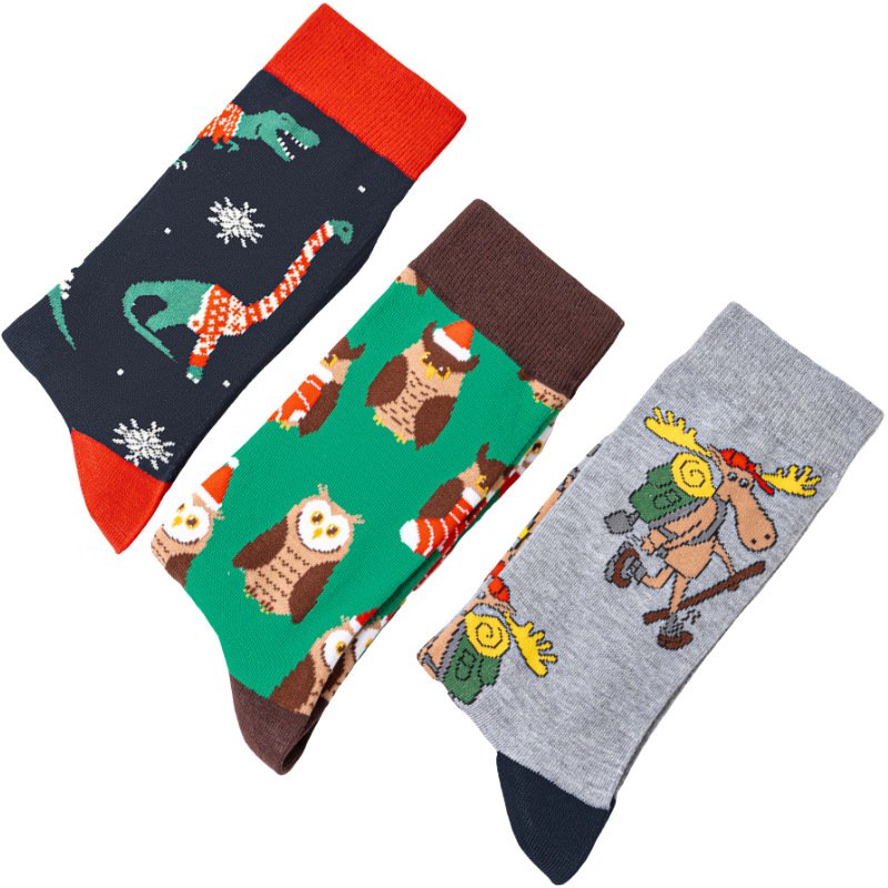 Dinosaur Owl Cartoon Cotton Socks - Image 7