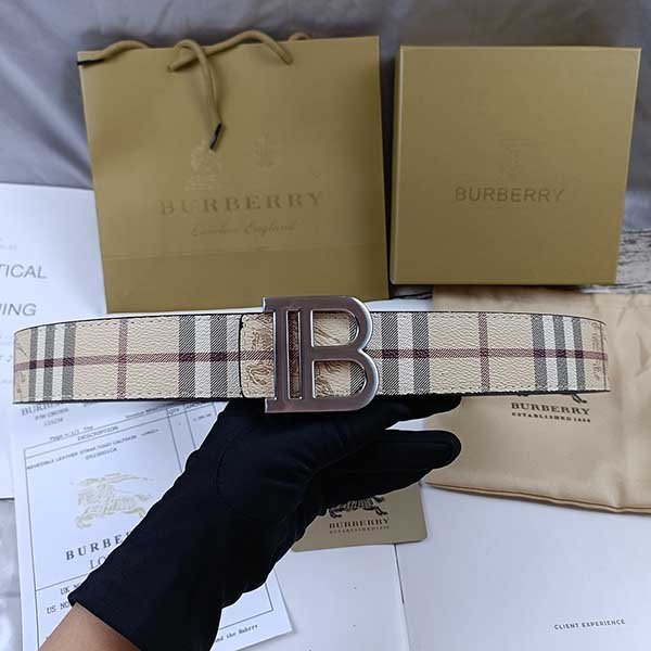 burberry waist belt