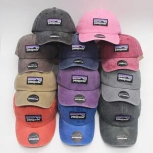 patagonia Baseball hat