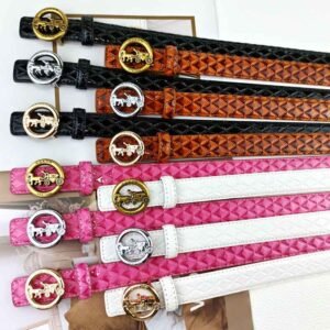 coach belt