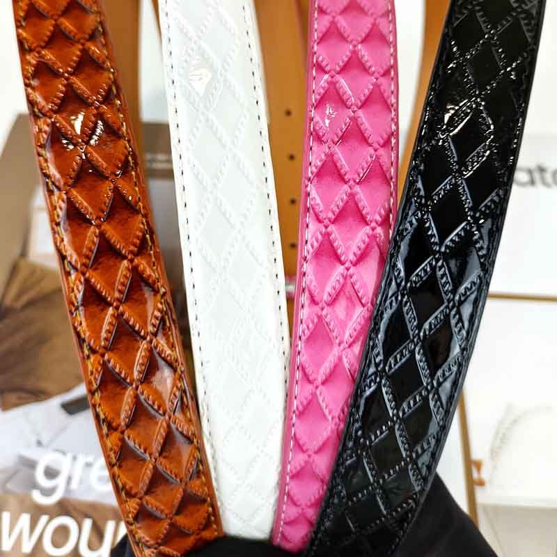 coach belt